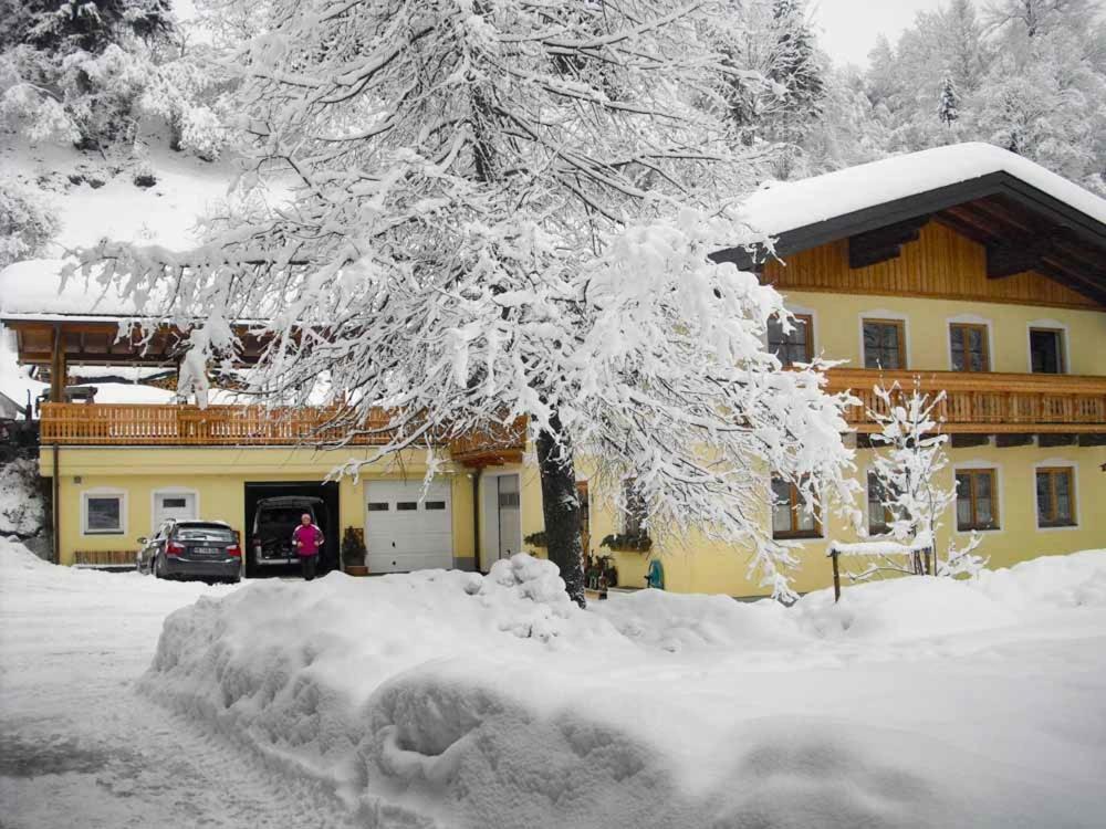 Grubhof Weissenbacher Altenmarkt im Pongau Ngoại thất bức ảnh