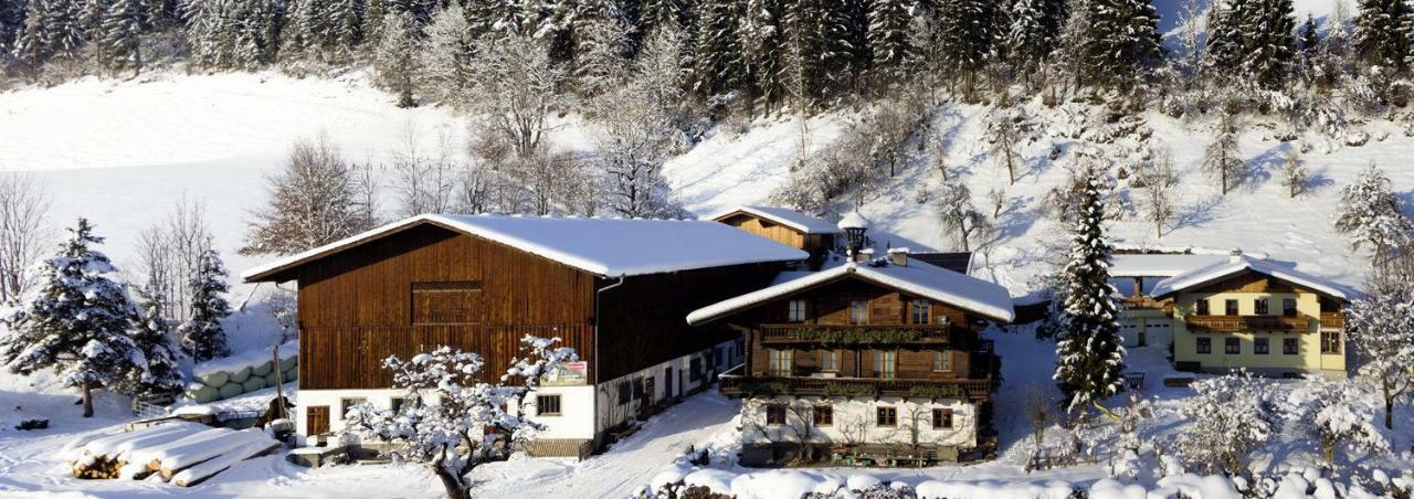 Grubhof Weissenbacher Altenmarkt im Pongau Ngoại thất bức ảnh