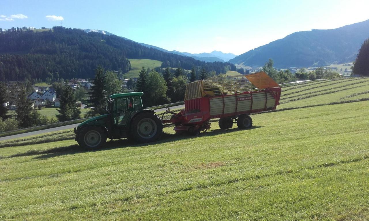 Grubhof Weissenbacher Altenmarkt im Pongau Ngoại thất bức ảnh